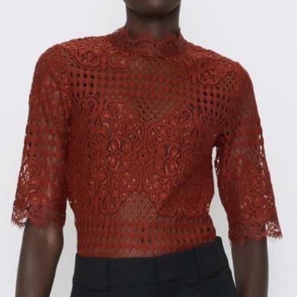 NWT Zara sheer lace top - Picture 1 of 5